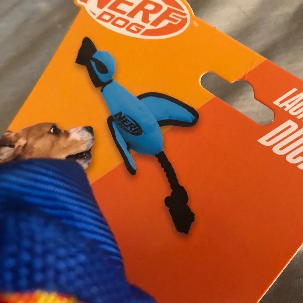 🦆HP🐾 Nerf Dog Blue Camouflage Duck Launcher Toy